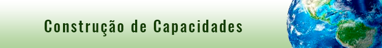 Construção de Capacidades