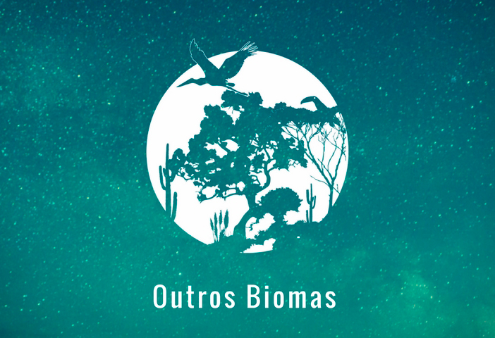 Outros Biomas