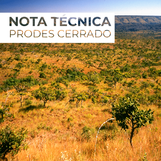 Capa NT Prodes Cerrado