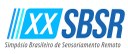 Logomarca do XX SBSR