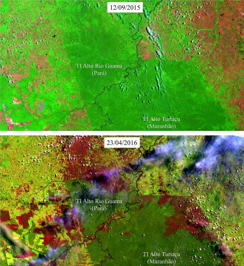 Cicatrizes de incêndios florestais (em vermelho escuro) nas Terras Indígenas Alto Rio Guamá e Alto do Turiaçu, na divisa entre os estados do Pará e Maranhão