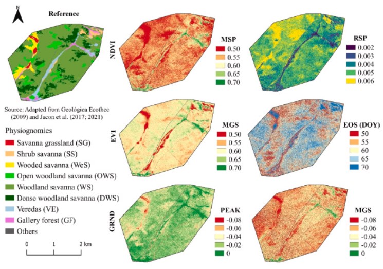 Variação espacial em métricas fenológicas selecionadas calculadas a partir de diferentes índices de vegetação (NDVI, EVI e GRND) pelo algoritmo greenbrown