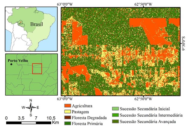 Local e Resultado Parcial - SAR na Amazônia