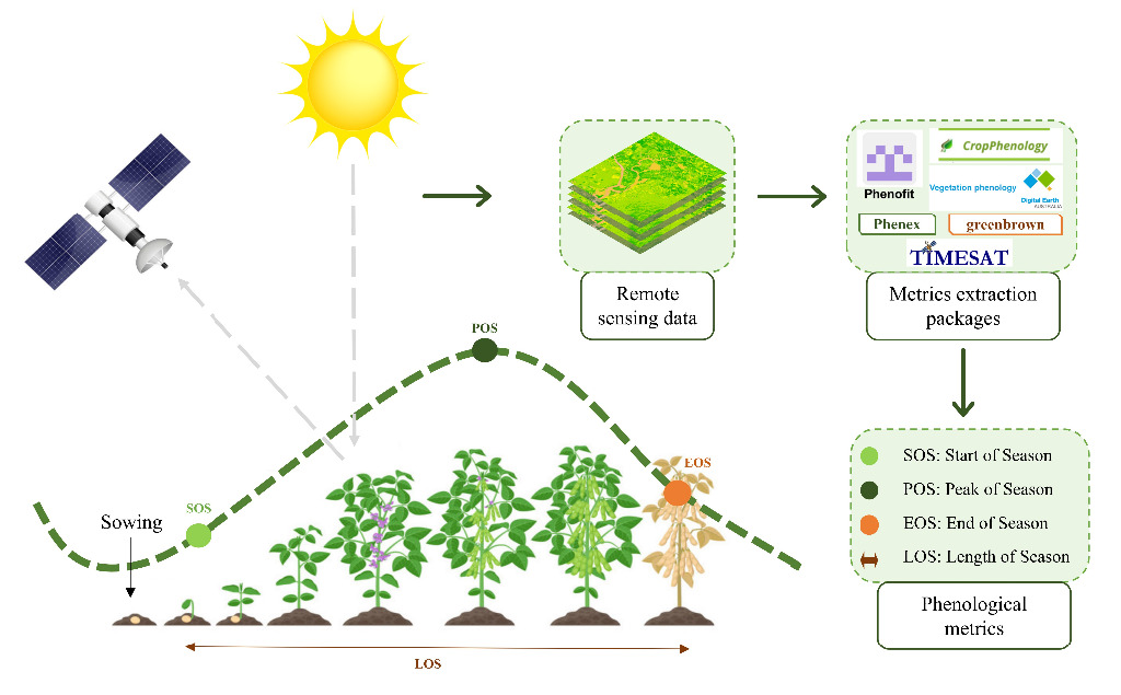 Resumo gráfico do Artigo que estima as datas de plantio e colheita usando o índice de vegetação por satélite