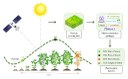 Resumo gráfico do Artigo que estima as datas de plantio e colheita usando o índice de vegetação por satélite