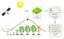 Resumo gráfico do Artigo que estima as datas de plantio e colheita usando o índice de vegetação por satélite