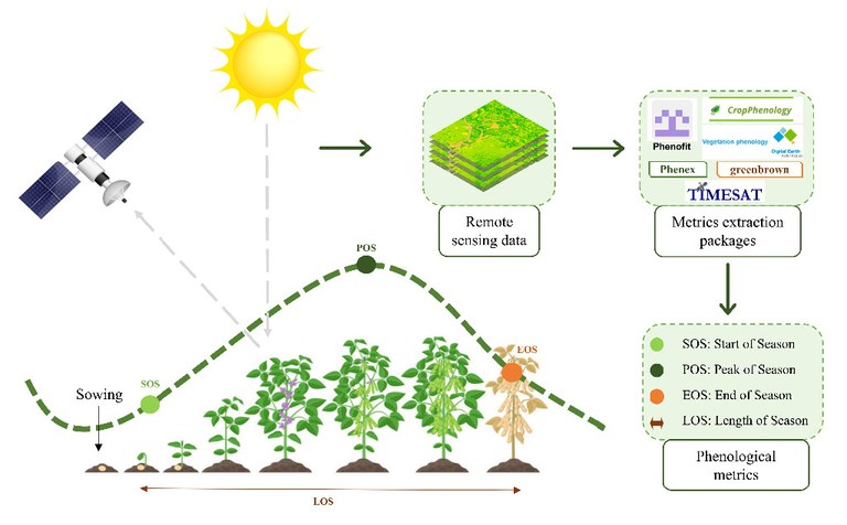 Resumo gráfico do Artigo que estima as datas de plantio e colheita usando o índice de vegetação por satélite