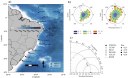 Mapa de localização das boias e Histogramas polares de vento na superfície do mar