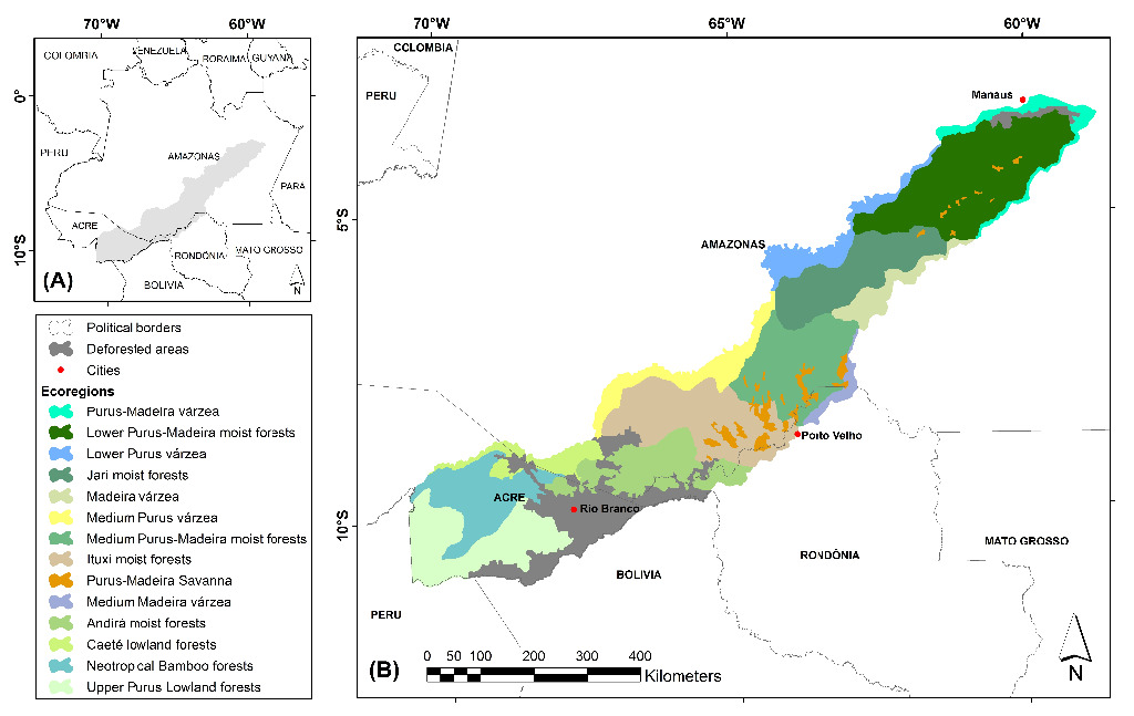 Mapa Ecorregiões Interflúvio Purus-Madeira na Amazônia