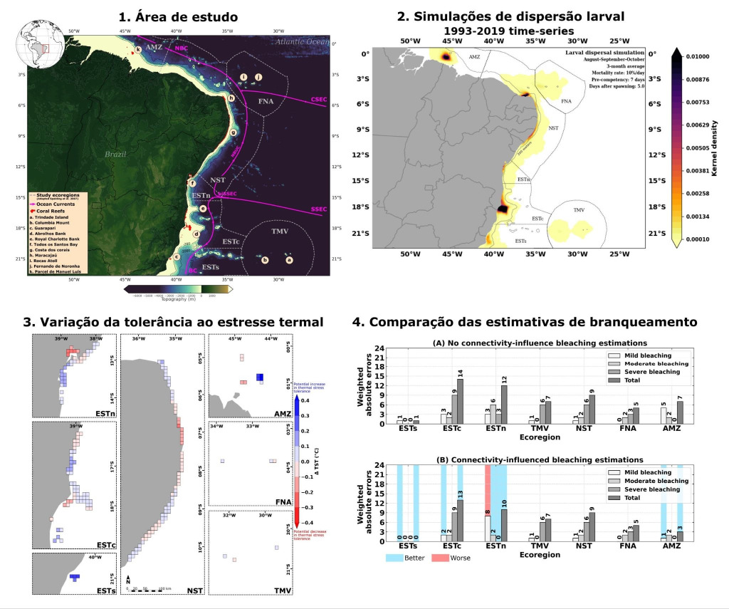 Esquema Representativo do trabalho (Área de Estudo, Dispersão larval, Tolerância ao estresse, Estimativa branqueamento)