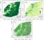 Estimativas de biomassa acima do solo