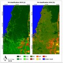 Mapas de Classificação do Estudo de 2015 e 2016