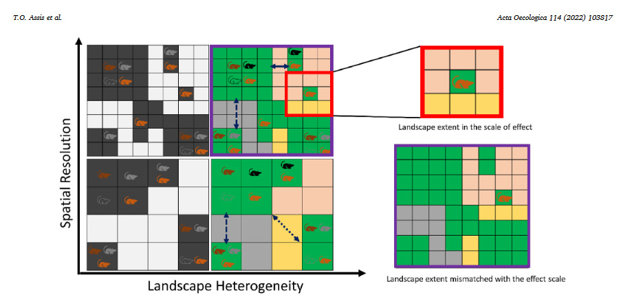 Efeitos da escala da paisagem no Estudo