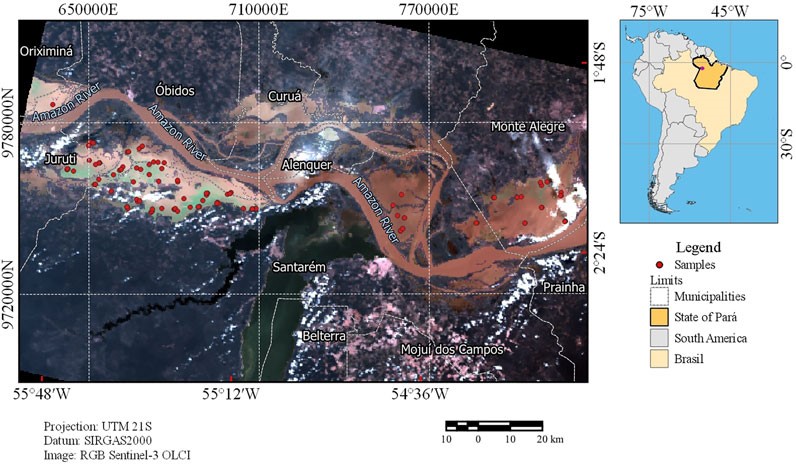 Área de Estudo na várzea amazônica - locais de amostragem em pontos vermelhos