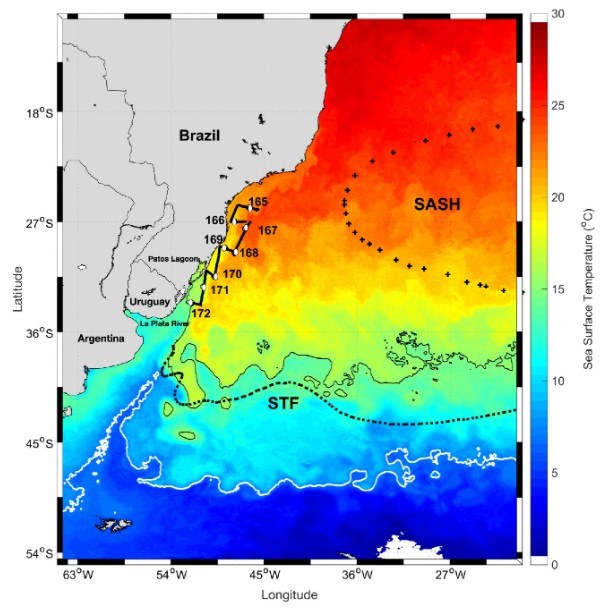 Temperatura da superfície do mar durante o estudo (junho)
