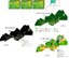 AMACRO - região de convergência da Amazônia, Acre e Rondônia: hotspot de desmatamento