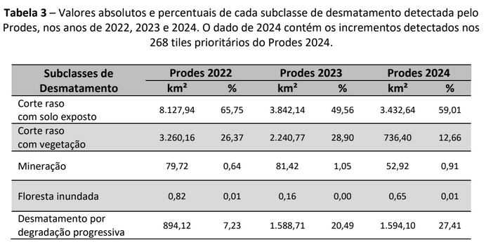 Subclasses de desmatamento na Amazônia Legal