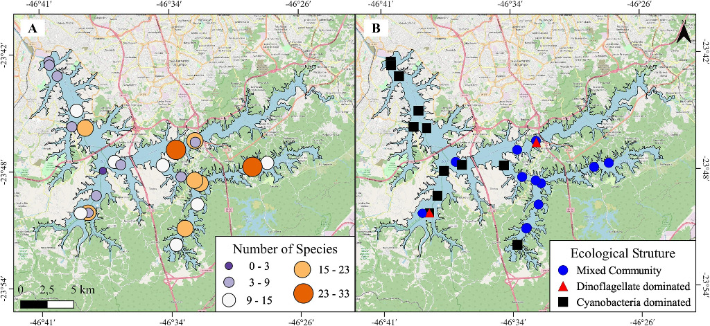 Resultados da análise taxonômica espacializada na Represa Billings. A) Riquesa das espécies do Fitoplâncton; B) Estrutura da comunidade de Fitoplâncton