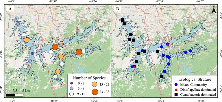 Resultados da análise taxonômica espacializada na Represa Billings. A) Riquesa das espécies do Fitoplâncton; B) Estrutura da comunidade de Fitoplâncton
