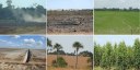Perdas em tipos de vegetação não florestal no estado de Roraima, Brasil, devido à expansão das atividades agrícolas. Imagens: Cassiano G. Messias.