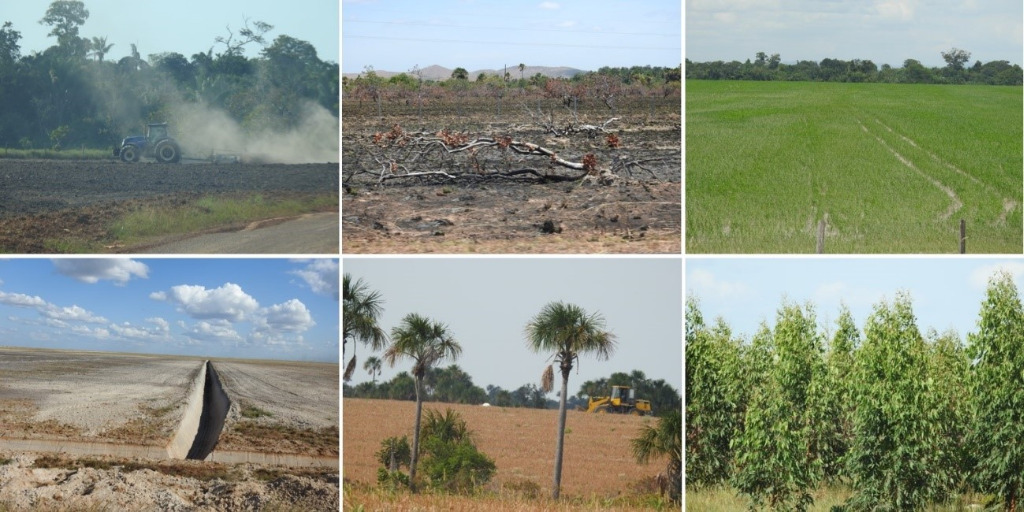 Perdas em tipos de vegetação não florestal no estado de Roraima, Brasil, devido à expansão das atividades agrícolas. Imagens: Cassiano G. Messias.