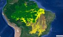 Desmatamento visualizado no TerraBrasilis