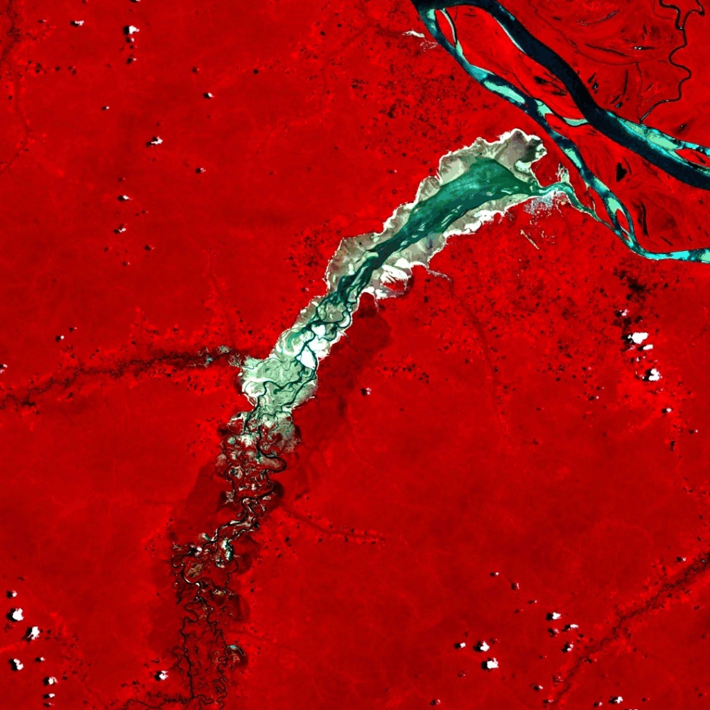 Imagem AMZ-1 em falsa cor do mesmo local e data