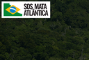 SOS Mata Atlântica