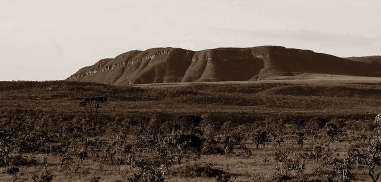 Cerrado