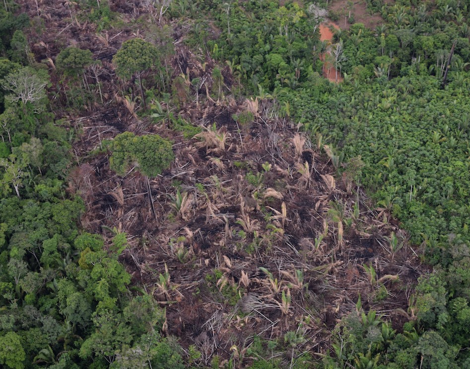 Local 1 - Desmatamento corte raso detectado em imagem Sentinel 1 e apontada pelo DETER