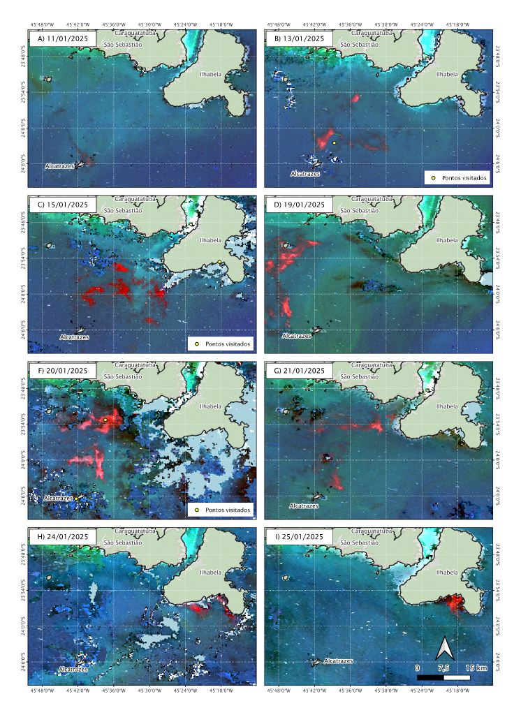 Imagens OLCI/Sentinel-3 (R11-G6-B4) entre os dias 11 e 25/01/2025.
