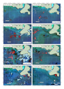 Imagens OLCI/Sentinel-3 (R11-G6-B4) entre os dias 11 e 25/01/2025.