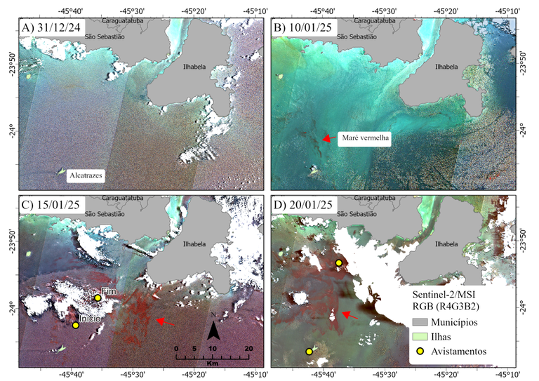 Imagens MSI/Sentinel-2. A) Dia 31/12/2024. B) Dia 10/01/2025. C) Dia 15/01/2025. D) Dia 20/01/2025.