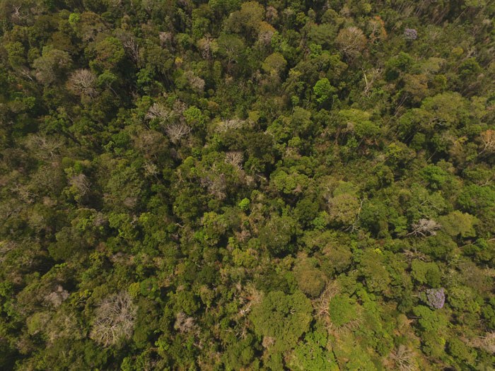 Projeto Monitoramento Ambiental por Satélites no Bioma Amazônia (MSA)