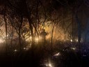 Combate do Fogo na Bolívia