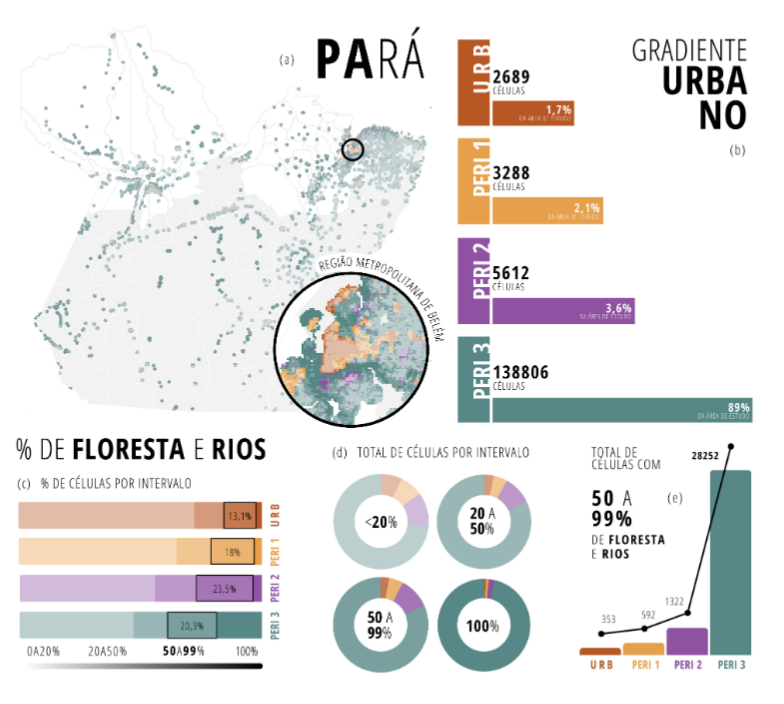 Dimensão socioespacial e da natureza da trama urbana no estado do Pará