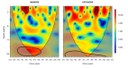 Espectros de potência wavelet do crescimento de Mussismilia braziliensis.