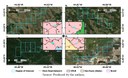 Amostras exemplificadas com padrões propostos de NTTS (Nighttime lights time series - Séries temporais de Luzes noturnas) no RMVPLN.