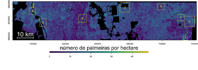 Número de Palmeiras por hectare na Amazônia