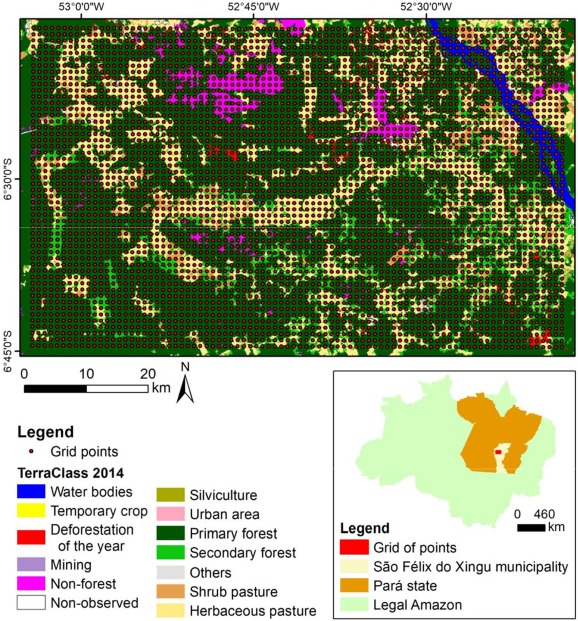 Local de Estudo e Grade de espaçamento regular