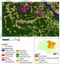 Local de Estudo e Grade de espaçamento regular