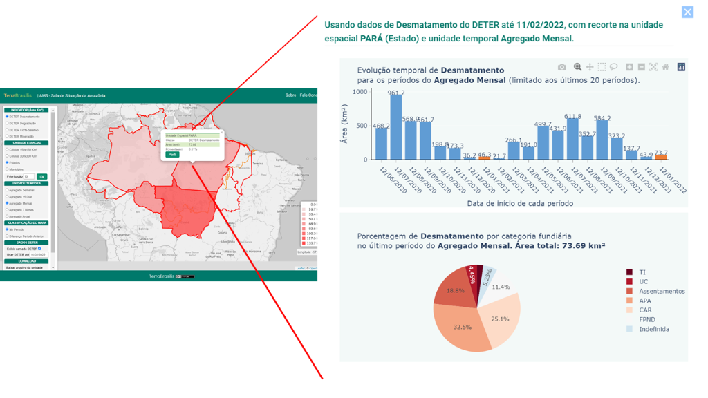 Perfil Desmatamento no Estado do Pará Perfil Desmatamento no Estado do Pará