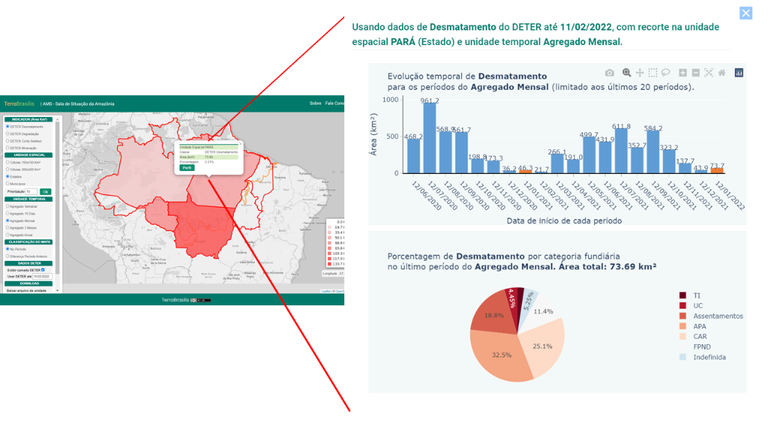 Perfil Desmatamento no Estado do Pará