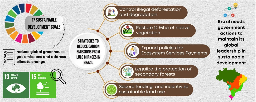 Estratégias para a redução das emissões de Carbono no Brasil