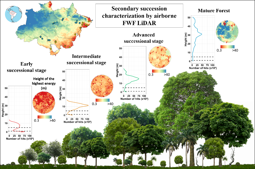 Dados Full-Waveform - LiDAR no estudo de sucessões secundárias na Amazônia