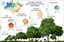 Dados Full-Waveform - LiDAR no estudo de sucessões secundárias na Amazônia