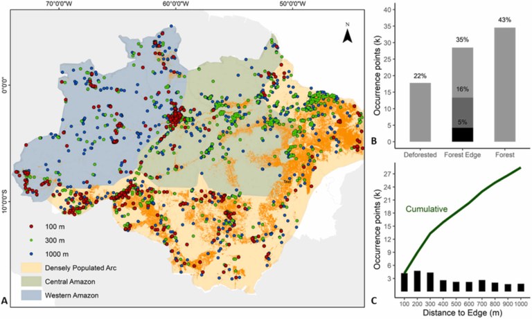 Ocorrência das espécies arbóreas hiperdominantes na Amazônia brasileira.