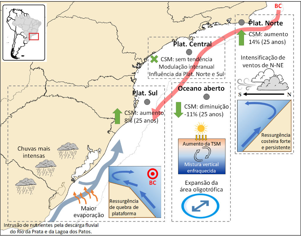 Infográfico com os principais processos associados à variabilidade da concentração de clorofila-a na superfície do mar