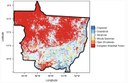 Variação na cobertura da terra no Estudo em Mato Grosso