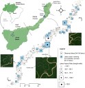 Área de estudo. Os marcadores quadrados indicam a localização geográfica dos lagos selecionados ao longo da planície de inundação do Médio Juruá e o tamanho dos marcadores refere-se à razão de aspecto dos lagos. Os marcadores azuis indicam os lagos usados para treinar e validar o modelo. Em (a) e (c) são destacados exemplos de lagos marginais